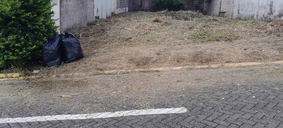 El mismo lote limpio después del trabajo