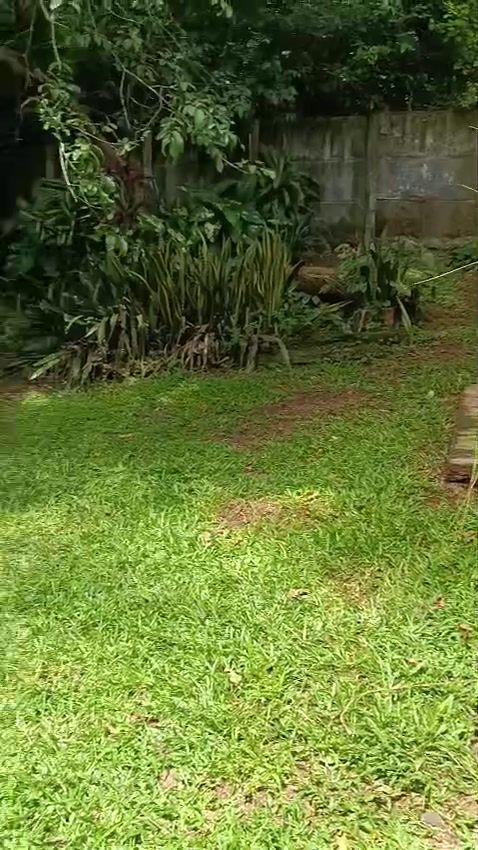 Zona verde recién chapeada
