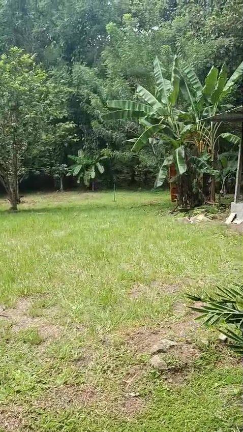 Zona verde de una propiedad después de la chapea
